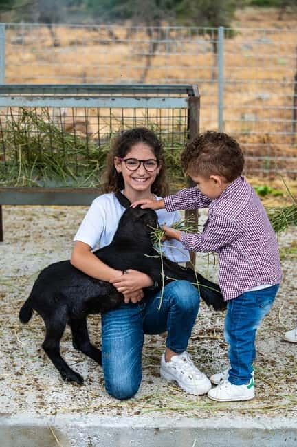 Crete: Farm Visit with Cheese Tasting and Milking Experience - Should You Book This Farm Visit at Arkadianos Farm?