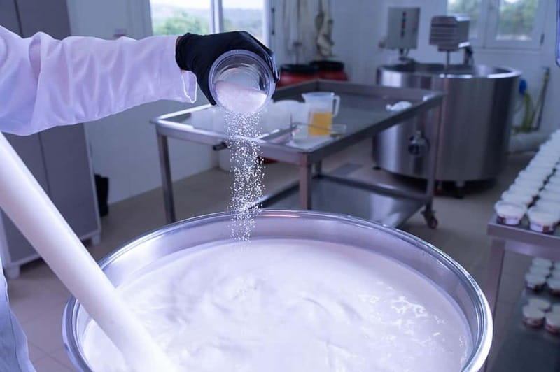 Crete: Farm Visit with Cheese Tasting and Milking Experience - Goat and Sheep Milking, Both Hands-On and Practical
