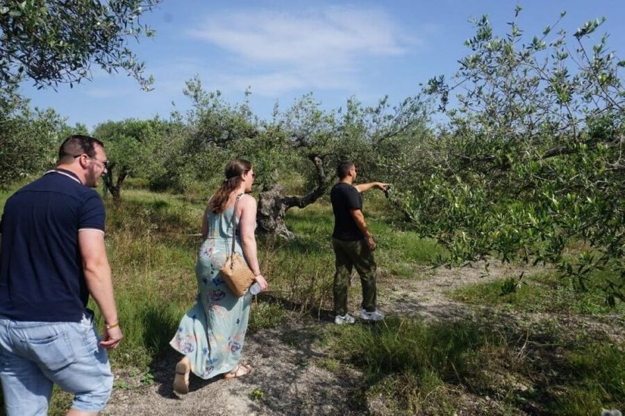 Crete: Full-Day Cretan Wines, Olive Oil, Raki and Food Tour - Thrapsano Pottery Studio: Wheel Throwing in a Village Known for Clay