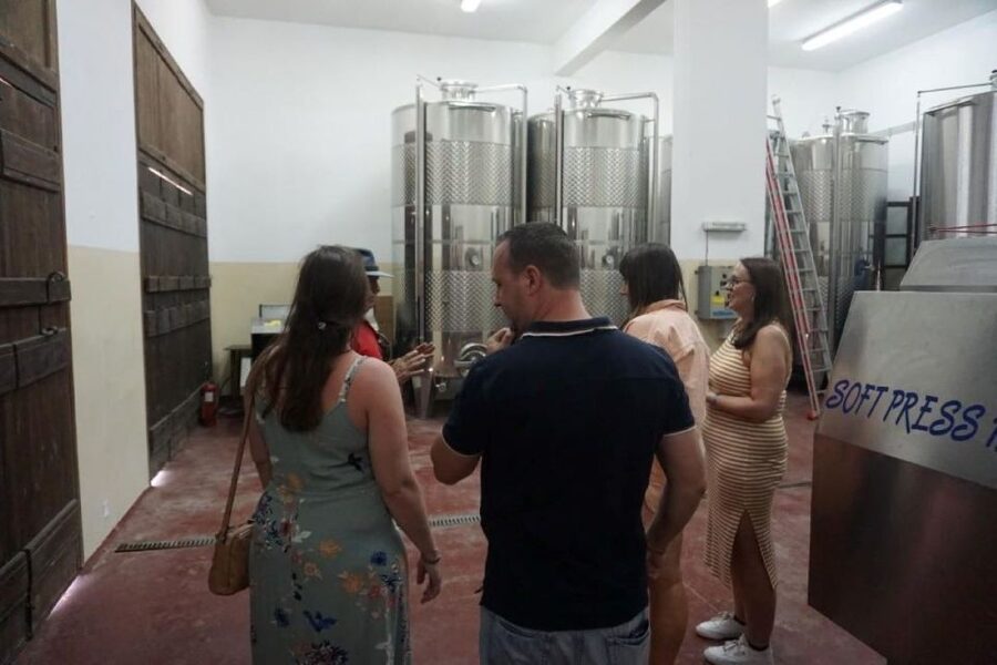 Crete: Full-Day Cretan Wines, Olive Oil, Raki and Food Tour - Should You Book This Crete Wines, Olive Oil, Raki, and Pottery Tour?