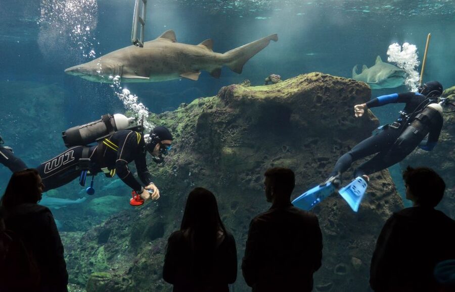 Crete: Heraklion Center, Local Market and Creta Aquarium - Key Highlights at a Glance