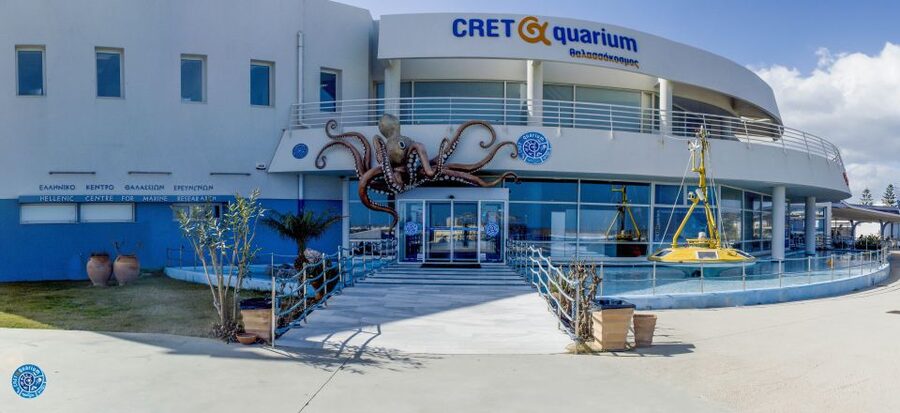 Crete: Heraklion Center, Local Market and Creta Aquarium - Cretaquarium First: Skip the Line, Then Use Your Time Well