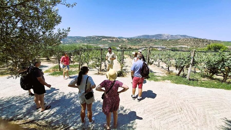 Crete: Knossos Palace, Winery & Olive Oil Tour with Lunch - Crete in one day: myths, wine, olive oil, and lunch that actually tastes like Crete