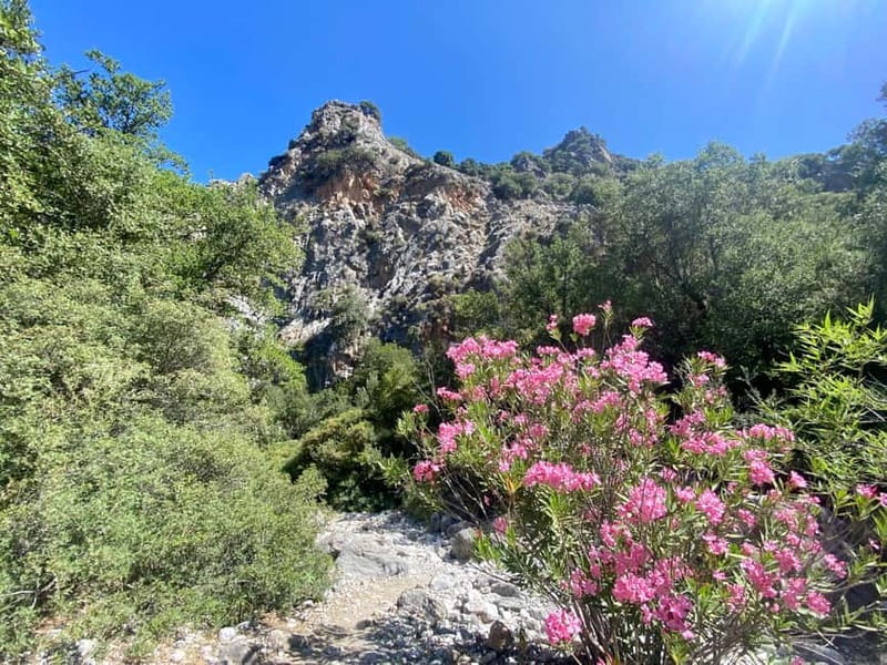 Crete: Kritsa Canyon Guided Hiking Tour - Door-to-door pickup in Crete, and why it changes your whole day