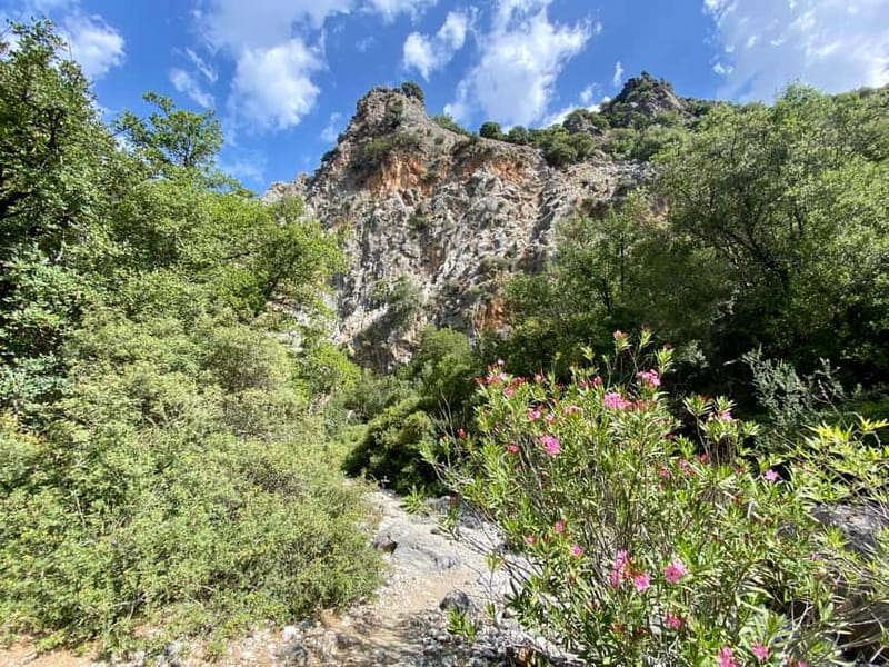 Crete: Kritsa Canyon Guided Hiking Tour - Pacing, group size, and why safety advice makes the hike better