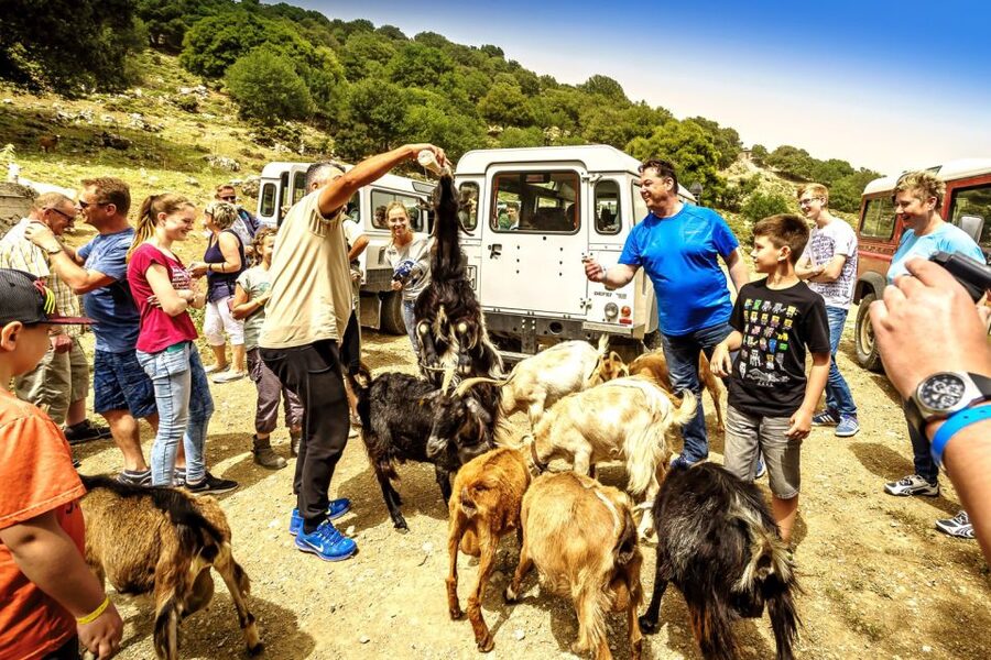 Crete: Land Rover Safari on Minoan Route - Key highlights worth getting excited about