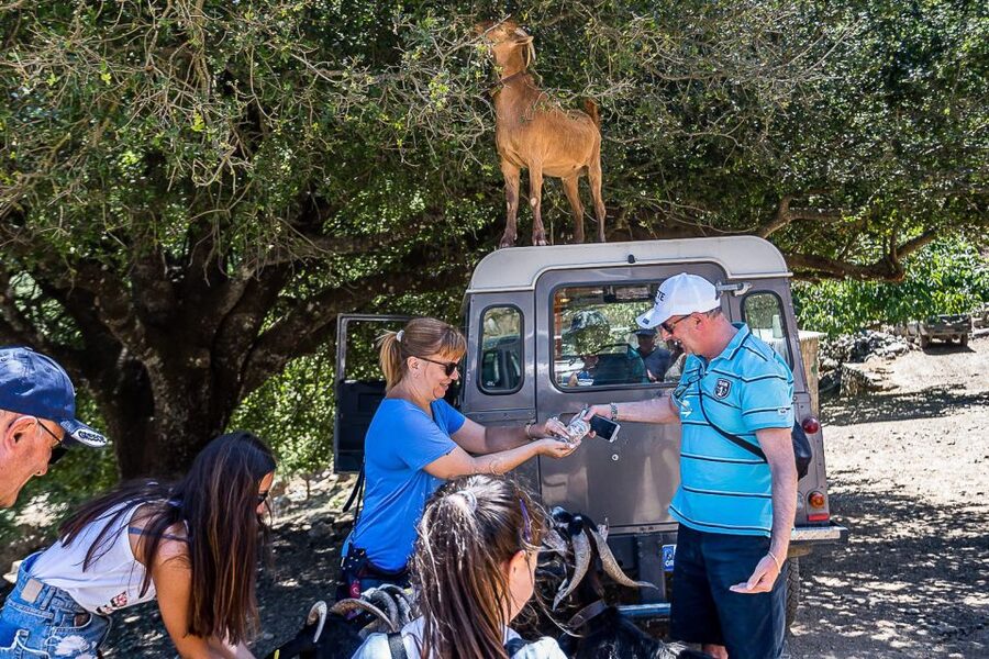 Crete: Land Rover Safari on Minoan Route - Lunch at the taverna: what you get for your money