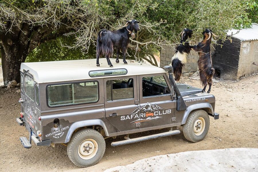 Crete: Land Rover Safari on Minoan Route - Why this Land Rover Minoan Route feels like real Crete