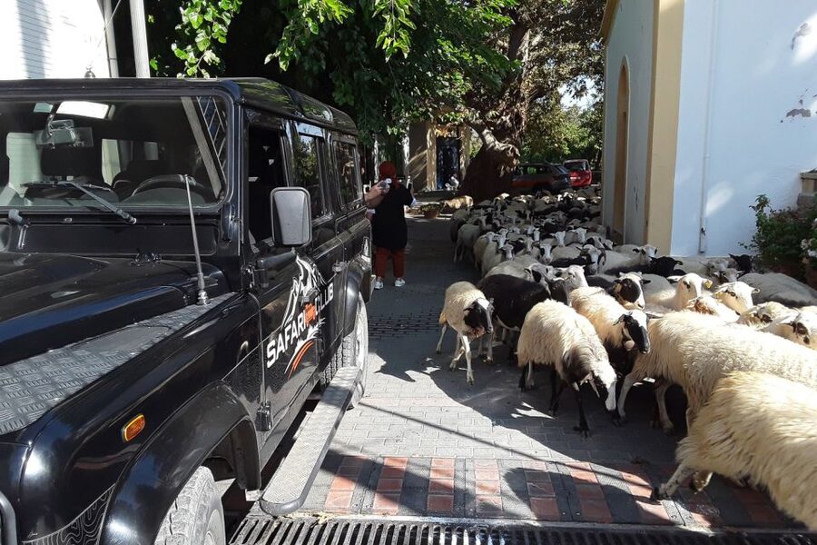 Crete: Land Rover Safari on Minoan Route - Greek Mythology Park and the Zeus cave add-on