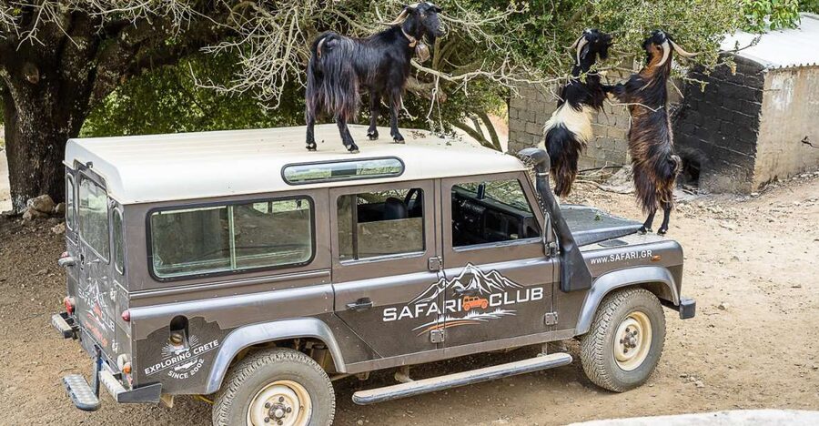 Crete: Land Rover Safari on Minoan Route - The morning start, pick-up, and how to prep for a bumpy ride