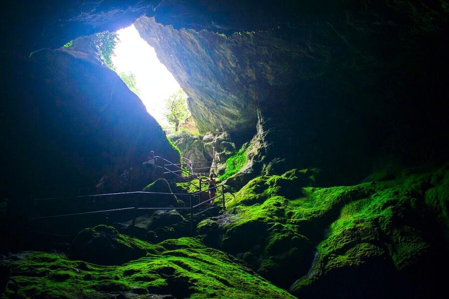 Crete: Lasithi Plateau and Cave of Zeus Off-Road Safari Tour - Krasi lunch, wood oven food, and the 2000-year-old plane tree
