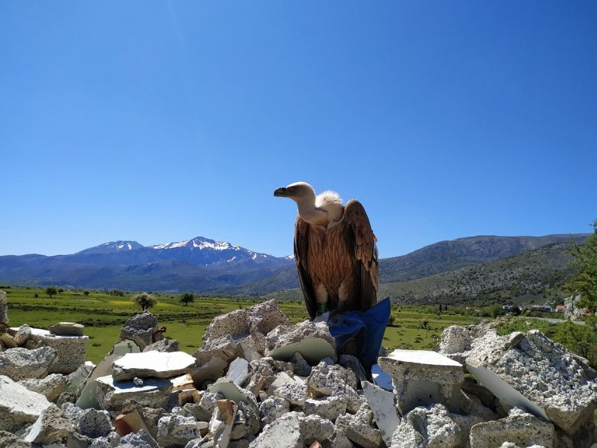 Crete: Lasithi Plateau and Cave of Zeus Off-Road Safari Tour - Gorge of Embasa-Virgin Mary: dirt roads, views, and quick “foraging” time