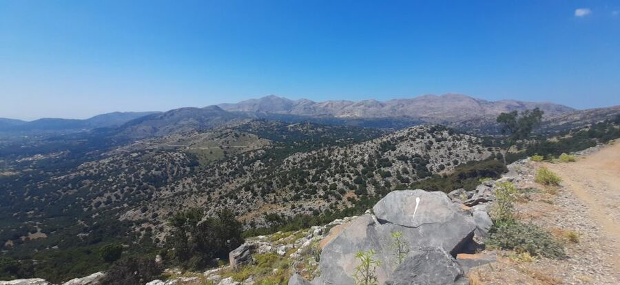 Crete: Olive, Wine, & Raki on a Flavorful Culinary Journey - Stironas Raki Distillery and Rakokazano: Two Rakis and a Real Spirits Story