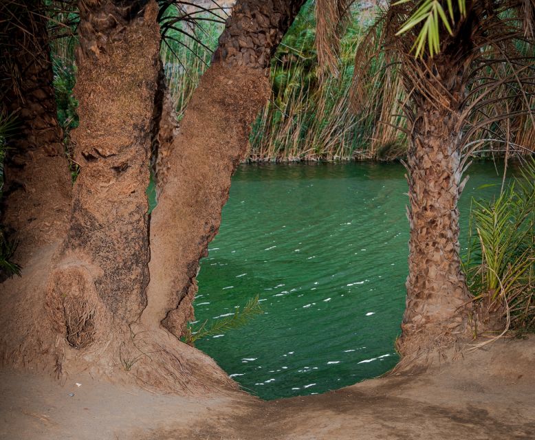 Crete: Preveli Tropical Beach and Palm Forest - Skaleta stop: quick break, useful reset