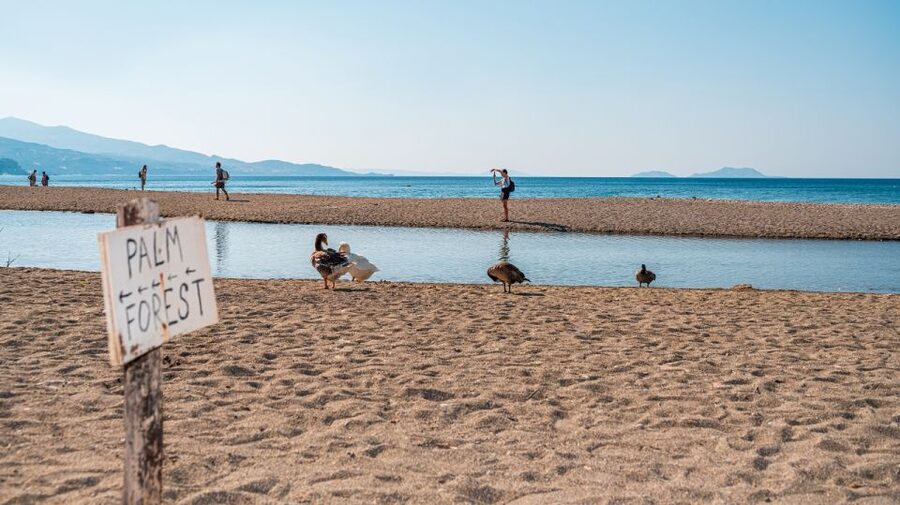 Crete: Preveli Tropical Beach and Palm Forest - Getting to Preveli: what the bus ride is really like