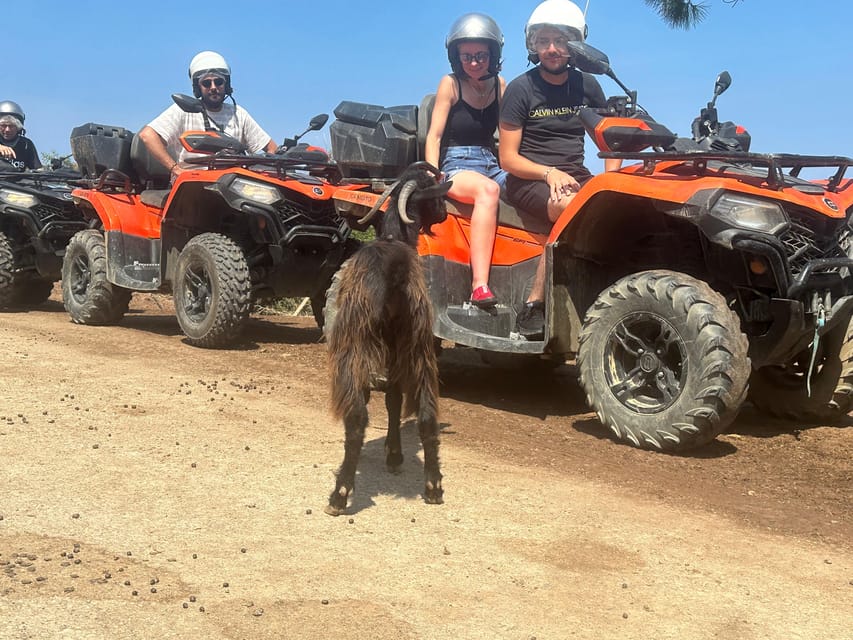 Crete: Quad Safari, Olive Mill with Tasting & Ghost Village - Key Points You’ll Care About