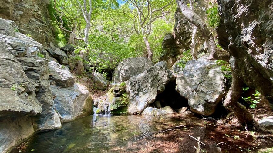 Crete: Richtis Gorge & Waterfall Guided Hiking Tour - Who Should Book This Richtis Gorge Tour, and Who Should Skip It