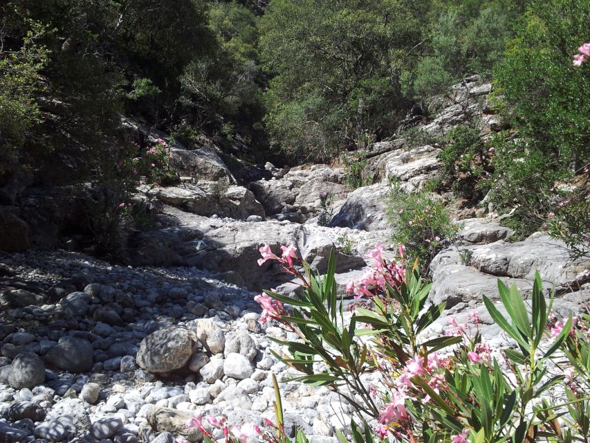 Crete: Richtis Waterfall Full-Day Tour with Olive Tasting - Lunch at a local tavern: real food, real view