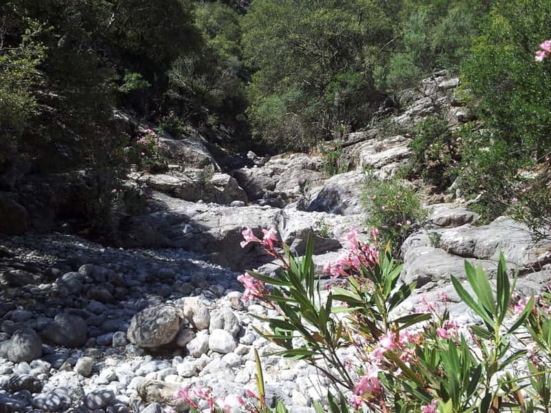 Crete: Richtis Waterfall Full-Day Tour with Olive Tasting - Who this tour is best for, and who should think twice