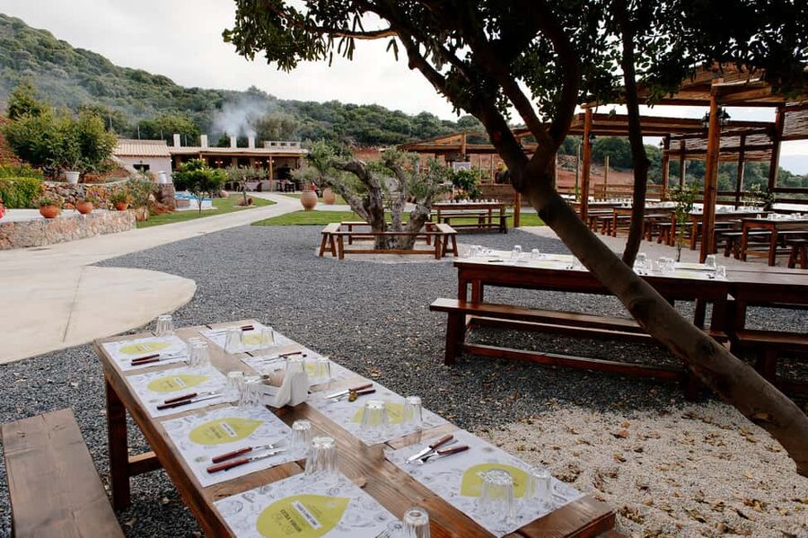 Crete: Road-trip to Lasithi, Zeus Cave & Olive Mill Farm - Price and value: what you pay for, and what costs extra