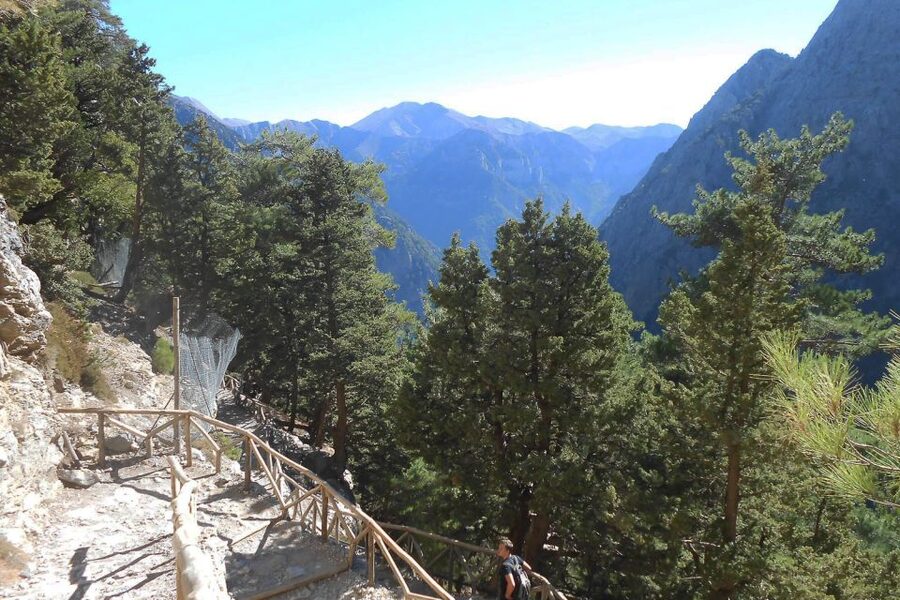 Crete: Samaria Gorge Hiking with transfer and expert Escort - Entering Europe’s longest gorge, what the hike is like