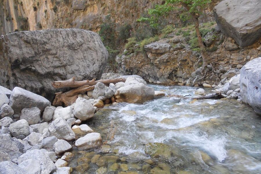 Crete: Samaria Gorge Hiking with transfer and expert Escort - Guides and safety, what you get beyond directions