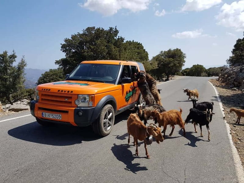 Crete: Sarakina Gorge, Forests, and South Coast Safari - Agios Nikolaos Food Tasting and Kritsa Village Stop
