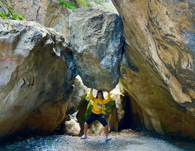 Crete: Sarakina Gorge, Forests, and South Coast Safari - Pickup, Transport, and Small-Group Reality