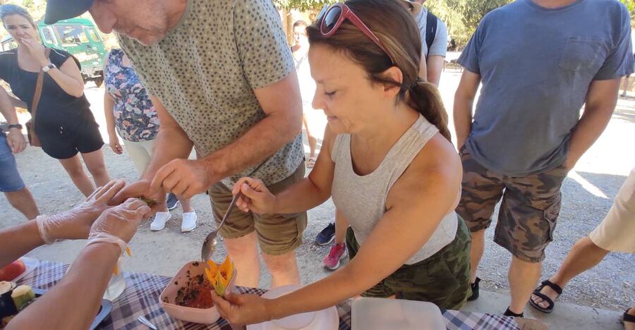 Crete: Sightseeing Day Trip with Cooking Lesson and Lunch - Hotel pickup in Analipsi, Heraklion, Hersonissos or Sisi, and what the vehicle ride is like