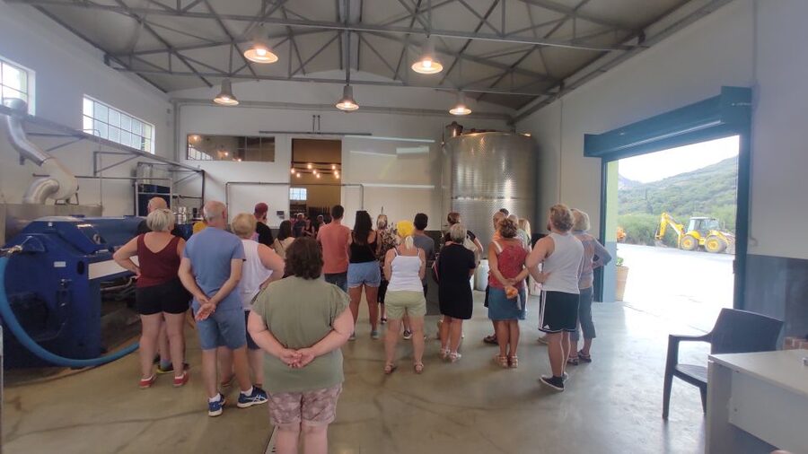 Crete: Sightseeing Day Trip with Cooking Lesson and Lunch - Cooking like a Cretan: herbs, step-by-step lessons, and wood-oven lunch