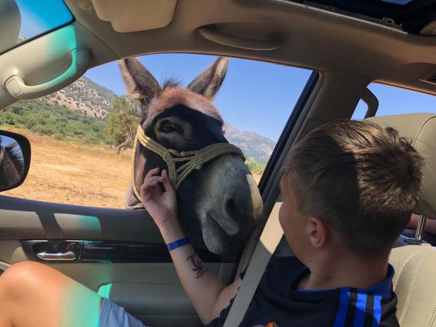 Crete: Sightseeing Day Trip with Cooking Lesson and Lunch - Potamies goat farm, milking time, and farm products you can actually taste