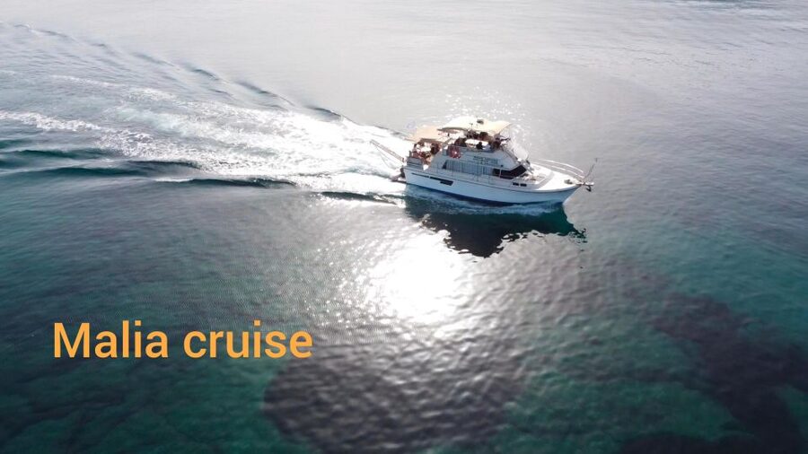 Crete: Snorkeling Boat Trip with Lunch and Transfer - The Aegean cruise: what you see between swim stops