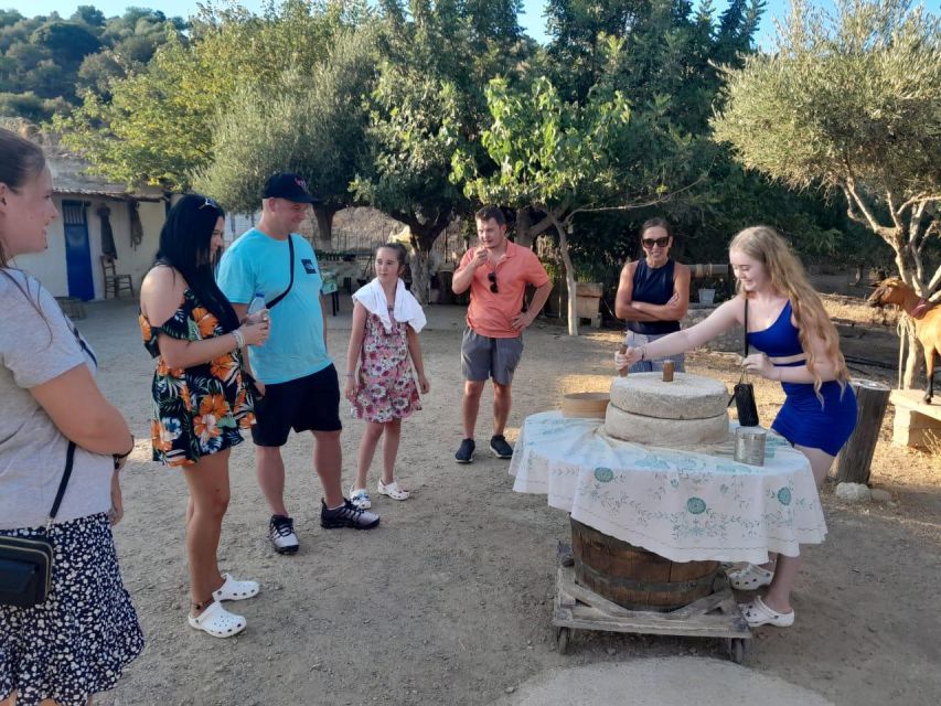 Crete: Sunset Safari - Dinner in Malia with wine and water: how the day ends right