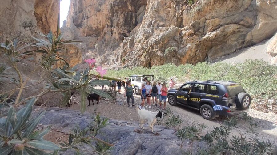 Crete: Trypiti Beach Off-Road South Tour w/ Lunch & Wine - Gortyna photo stop: when ancient Crete meets Roman layers
