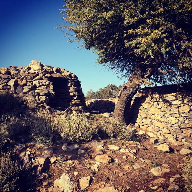 Crete: White Mountains Preserve Day Tour - First hours: orange and avocado country, then coffee and viewpoints