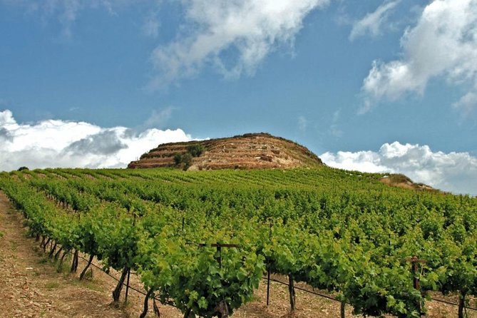 Crete Wine and Olive Oil Tour - Key things that make this tour work