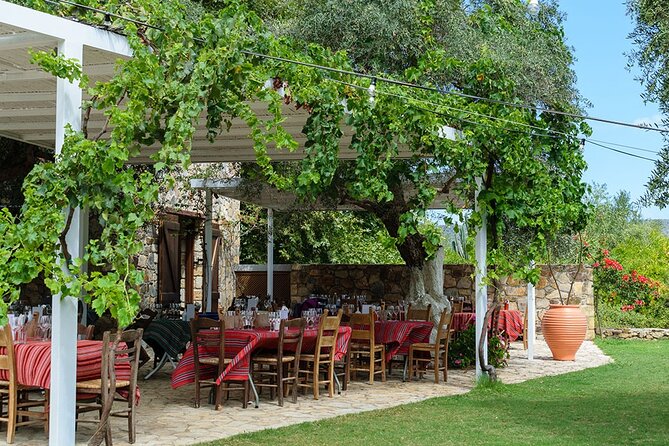 Crete Wine and Olive Oil Tour - What the tastings feel like: olive oil, multiple pours, and snack pairing