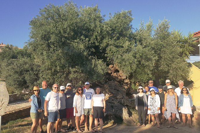 Crete Wine and Olive Oil Tour - Price and value: is $145.18 a fair deal?