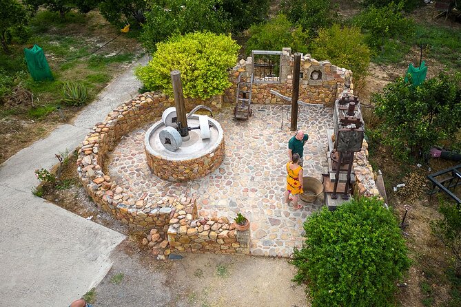 Crete Wine and Olive Oil Tour - Anoskeli Winery and Olive Mill: where the olive oil story starts
