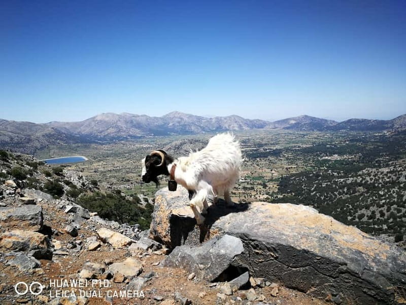 Crete: Zeus Cave, Lassithi Plateau, and Olive Factory Tour - Mountain villages that feel lived-in, not staged