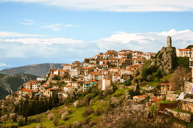 Delphi full day V.R audio guided tour with entry ticket - How the guides and bus escort affect your experience