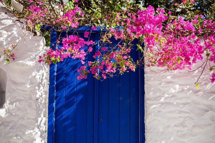 Discover Mykonos in 4 Hours: Beaches, Villages and Town - Price and Value: What $88 Buys You in Real Time