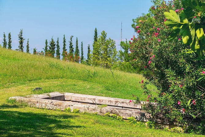 Discover Vergina and Pella: Day Trip to Macedonian Kingdom - Museum pacing: guided context first, then your own time