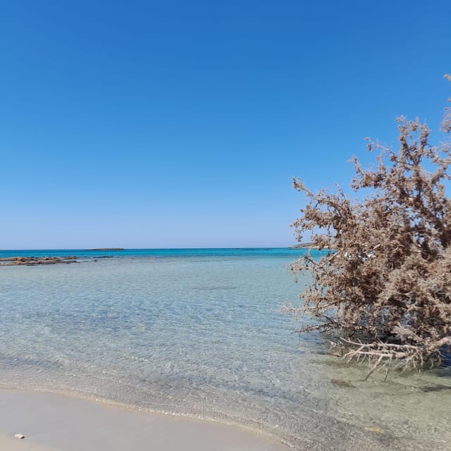 Elafonissi: Private Beach Day Trip with SUP - What the $70 Price Really Covers (and What It Doesn’t)