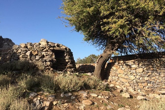 Explore the White Mountains of Crete - Chania pickup, small-group pacing, and what 7 hours really means