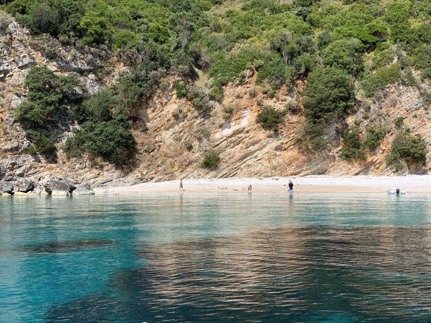 From Agia Efimia: Day Cruise to Ithaki Island with Lunch - Wildlife sightings, but with realistic expectations