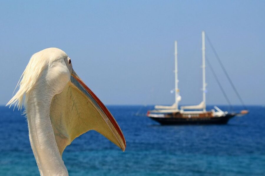 From Athens: 2-Day Santorini and Mykonos Trip - Key Things You’ll Notice on This Trip