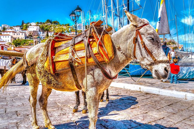 From Athens: Hydra, Poros, and Aegina Day Cruise with Lunch - Price and value: what $154 buys you in real life
