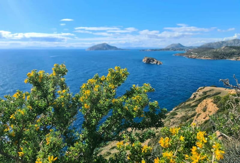 From Athens: Temple of Poseidon & Cape Sounion Half-Day Tour - Key moments that make this tour worth your time