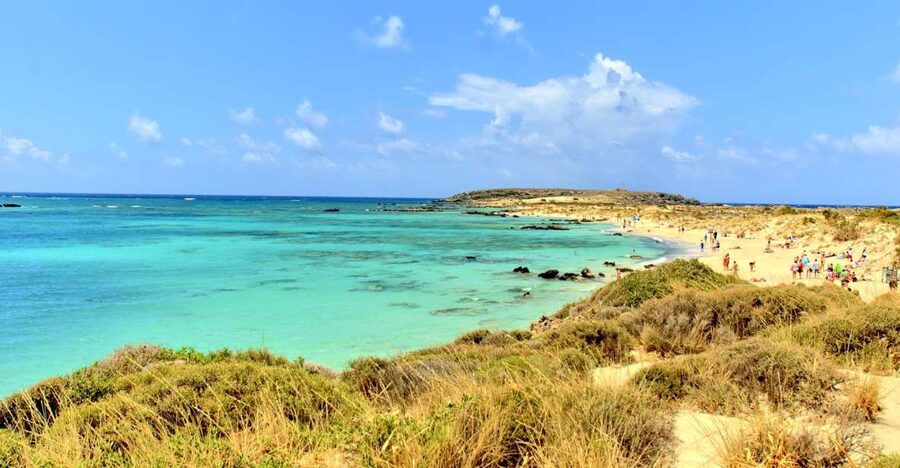 From Chania Area: Day Trip to Elafonisi Island by Bus - Why Elafonisi feels so special, even on a bus day trip